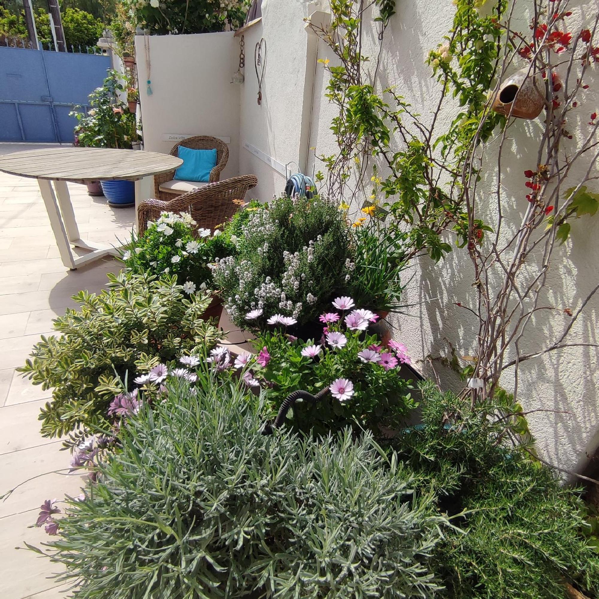 Juan Les Pins Plages Clim Wifi Maison Entiere Antibes Exterior photo